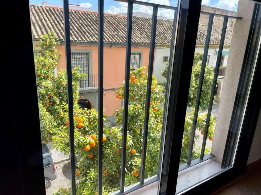 El Balcon De Los Naranjos Cordoba Exterior photo