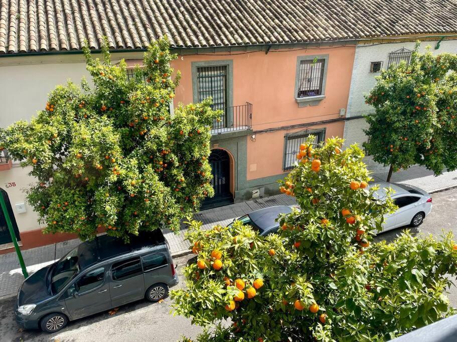 El Balcon De Los Naranjos Cordoba Exterior photo